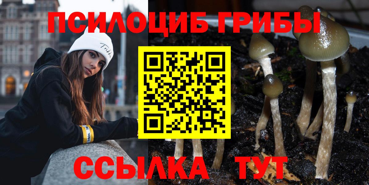 Псилоцибиновые грибы MAGIC MUSHROOMS Шахты