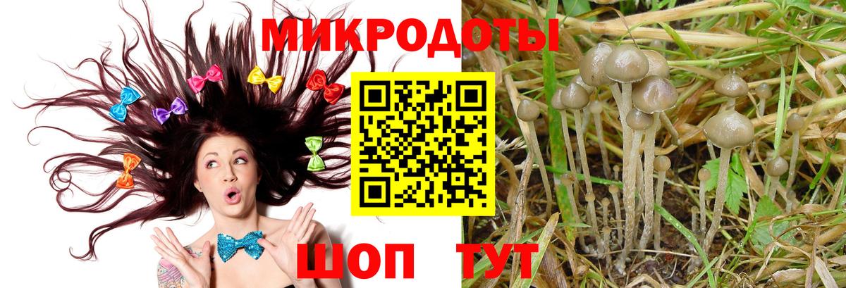 Шахты  Галлюциногенные грибы Cubensis  Галлюциногенные грибы Cubensis  Вход с VPN 